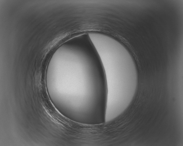 X0000085730627200703160837