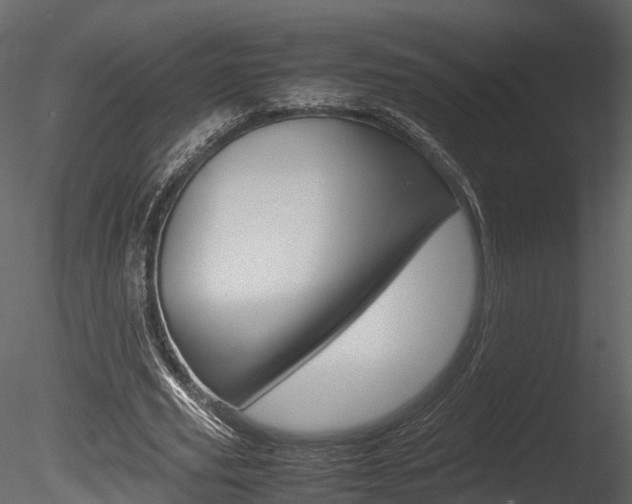 X0000085730629200703160837
