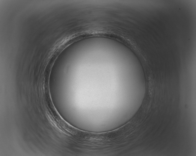 X0000085730631200703160837