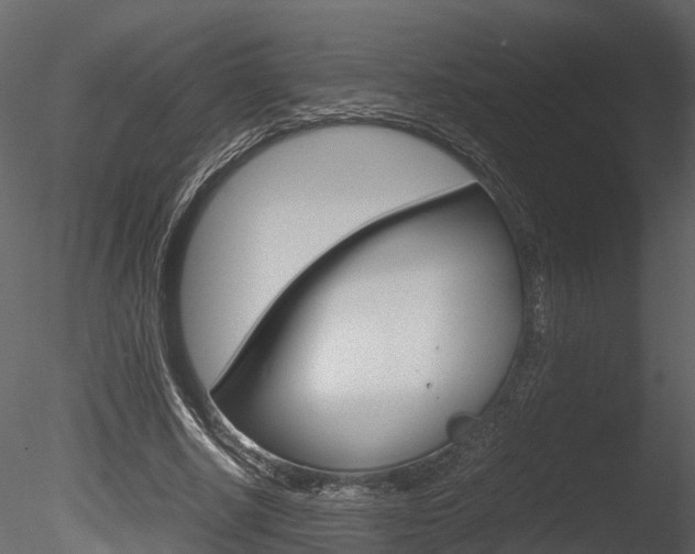 X0000085730634200703160837