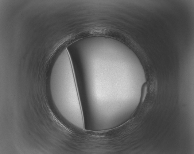 X0000085730637200703160837