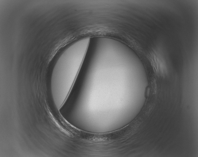 X0000085730638200703160837