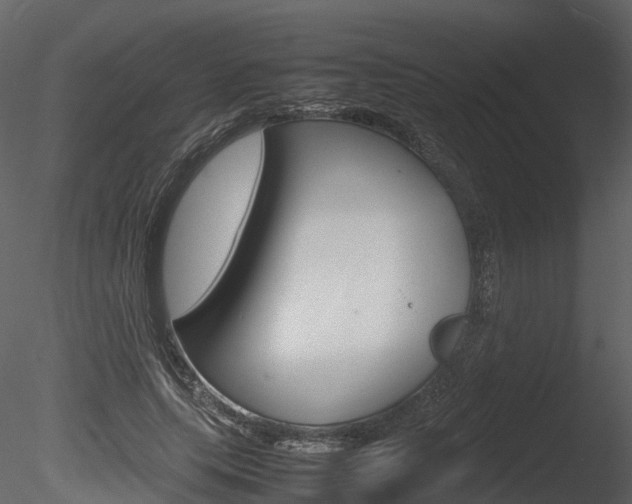 X0000085730639200703160837