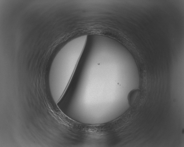 X0000085730641200703160837