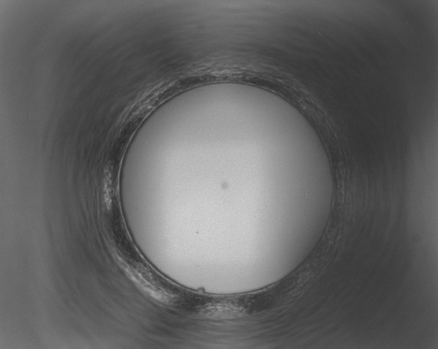 X0000085730644200703160837