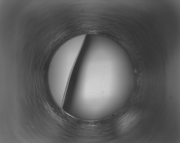 X0000085730647200703160838