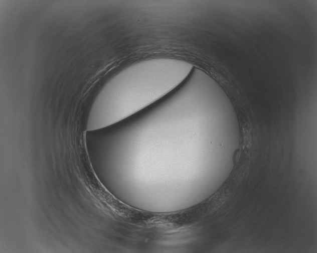 X0000085730648200703160838