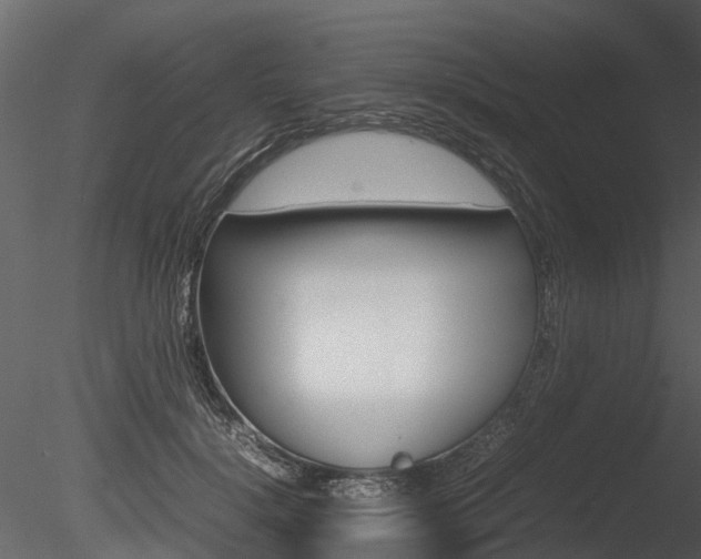 X0000085730652200703160838