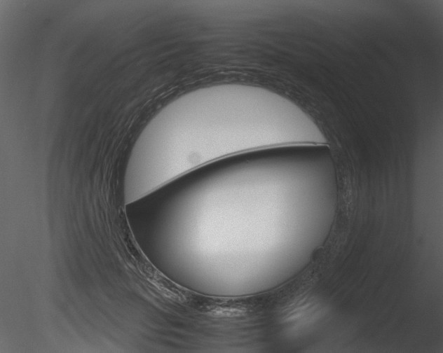 X0000085730653200703160838