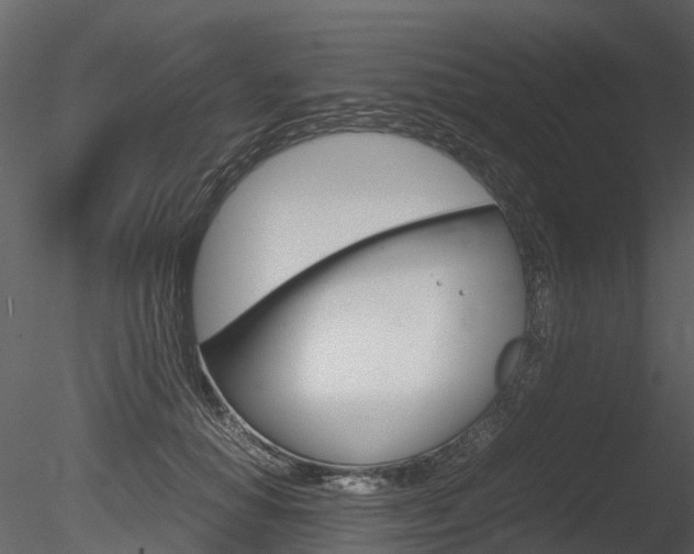 X0000085730654200703160838