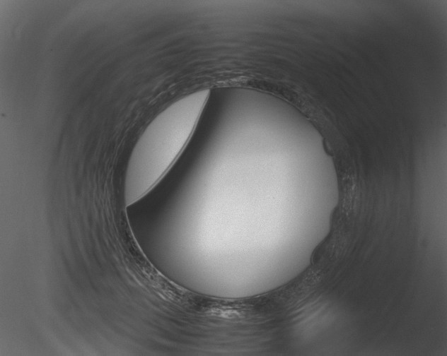 X0000085730655200703160838