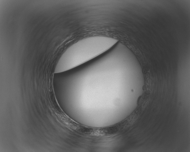 X0000085730656200703160838