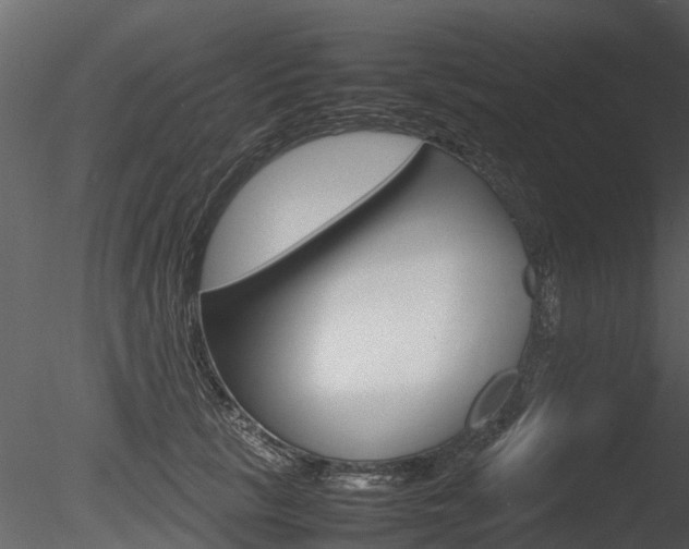 X0000085730657200703160838