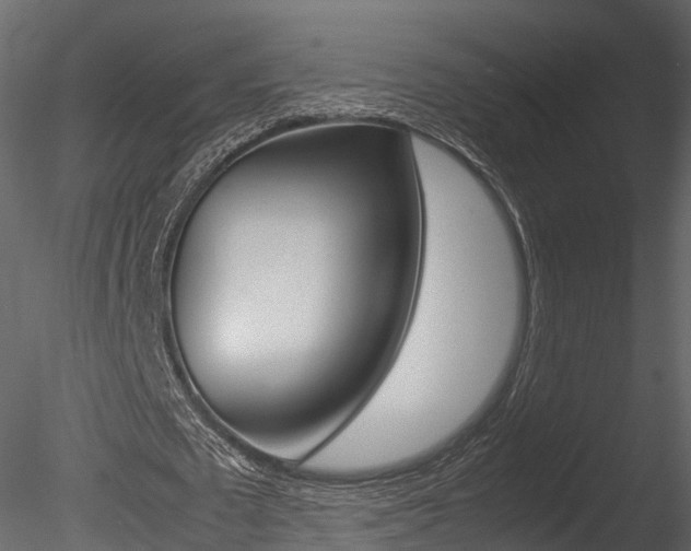 X0000085730673200703160837