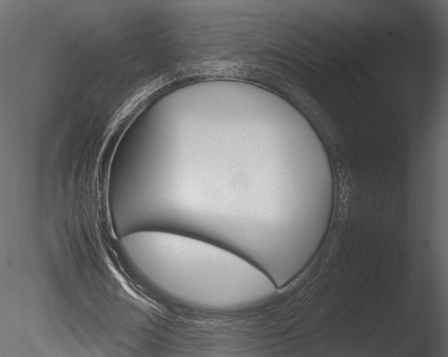 X0000085730674200703160837