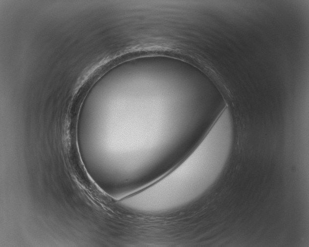 X0000085730676200703160837