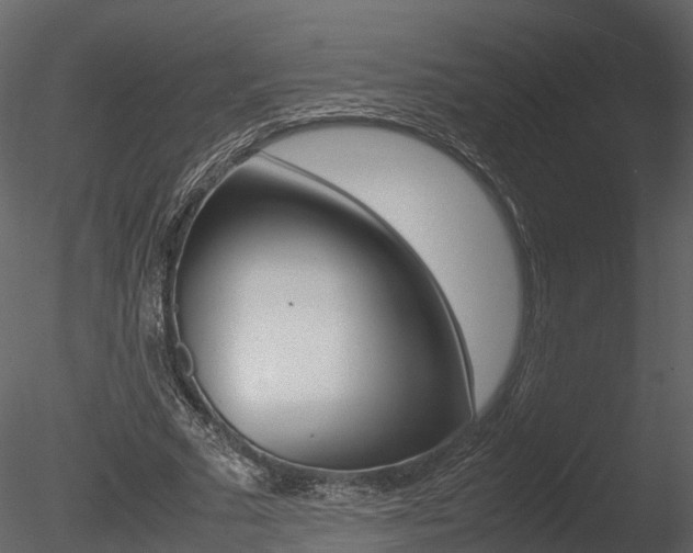 X0000085730681200703160837