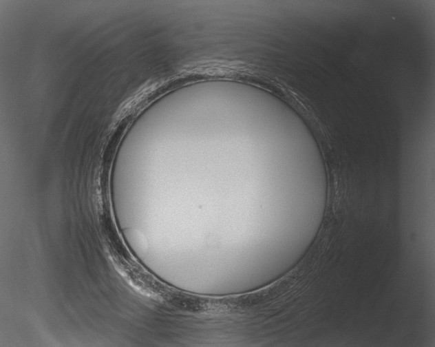 X0000085730682200703160837