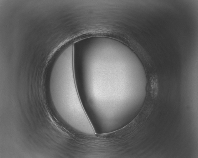X0000085730684200703160837