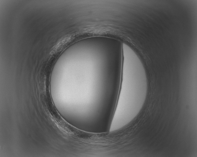 X0000085730685200703160837