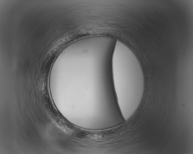 X0000085730687200703160837
