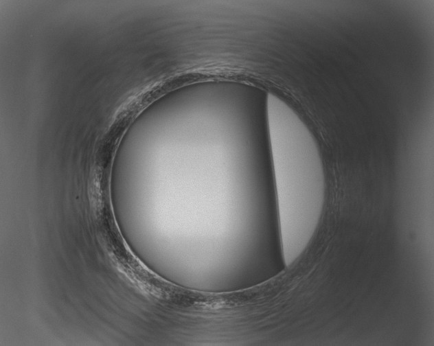 X0000085730688200703160837
