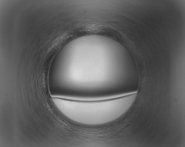 X0000085730689200703160837