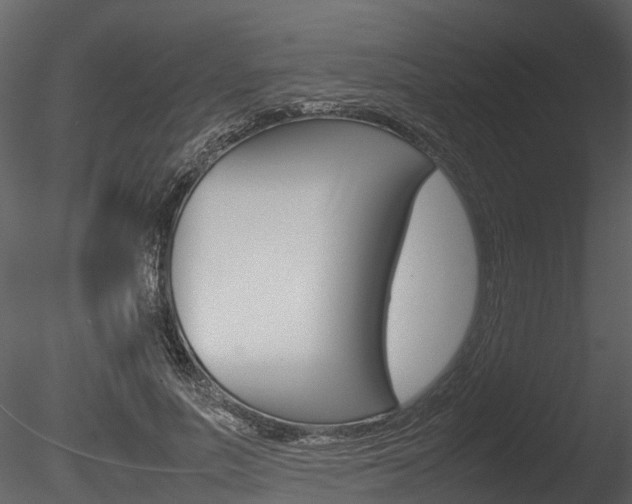 X0000085730691200703160837