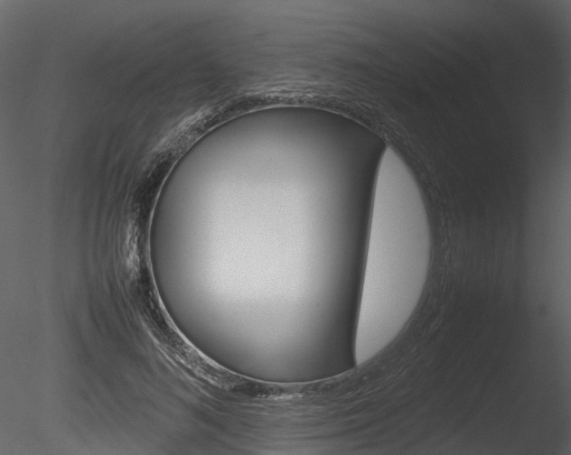 X0000085730692200703160837