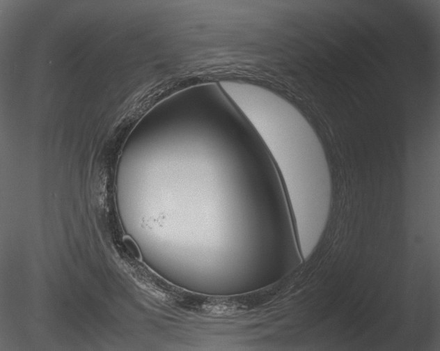 X0000085730693200703160837