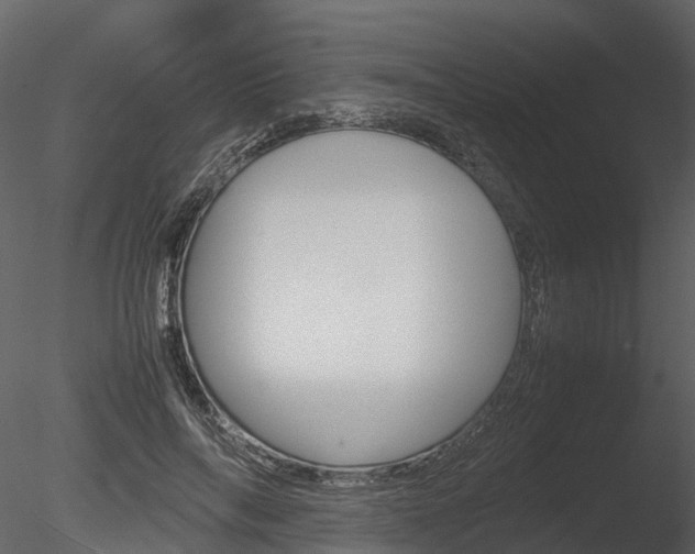 X0000085730694200703160837