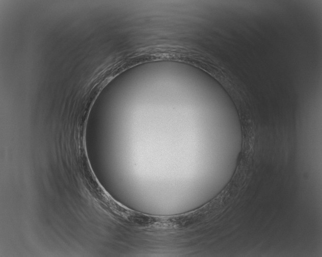 X0000085730696200703160837