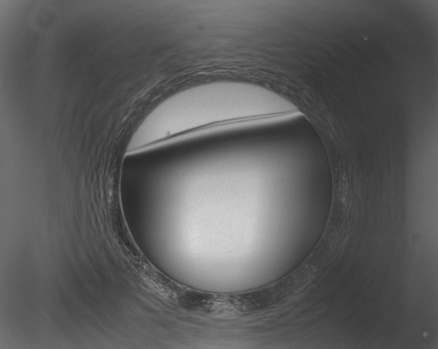 X0000085730697200703160837
