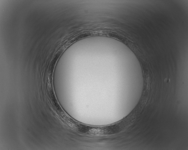 X0000085730699200703160837