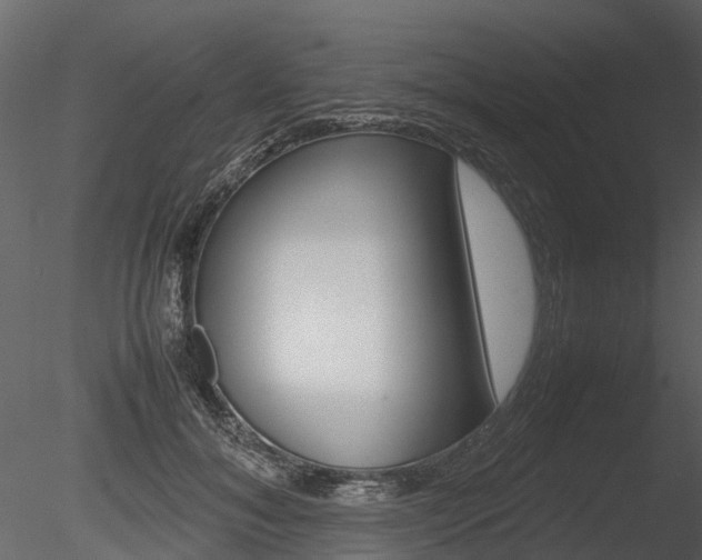 X0000085730700200703160837