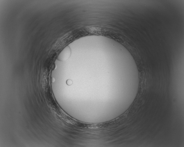 X0000085730702200703160837