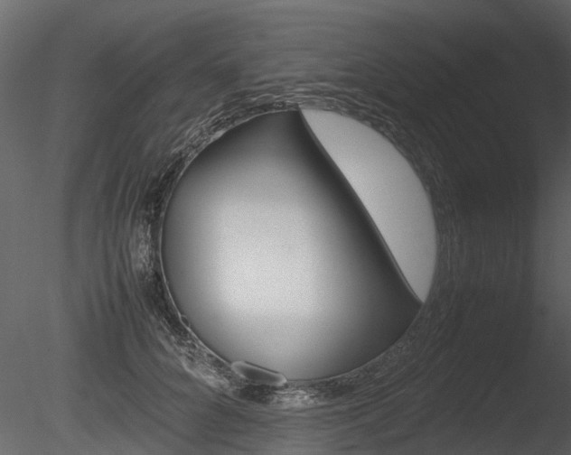 X0000085730704200703160837