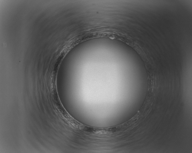 X0000085730708200703160837