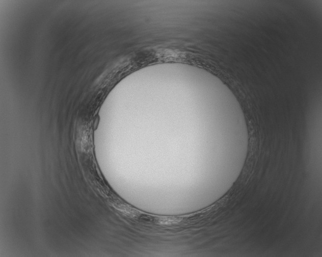 X0000085730709200703160836