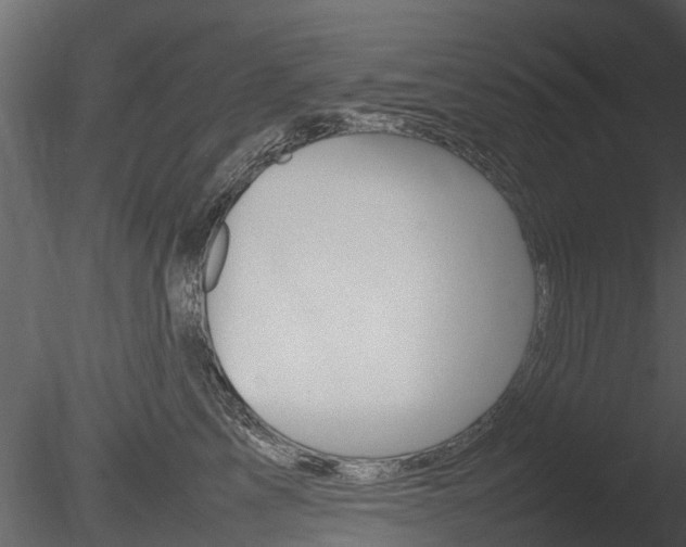 X0000085730713200703160836