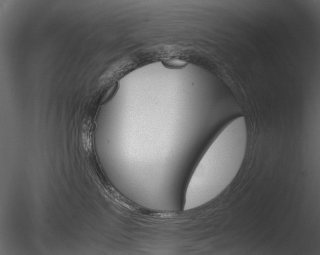 X0000085730719200703160836