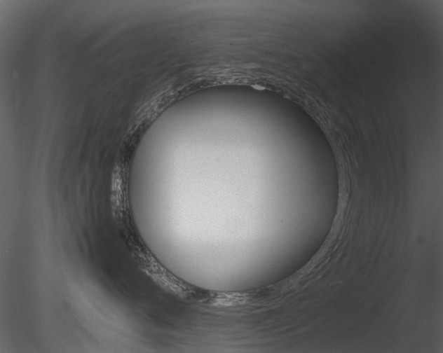 X0000085730720200703160836