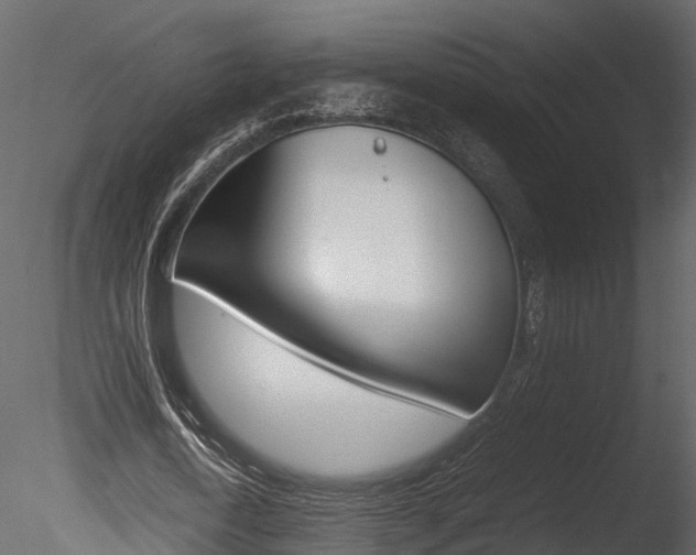 X0000085730722200703160835