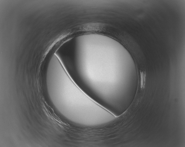 X0000085730723200703160836