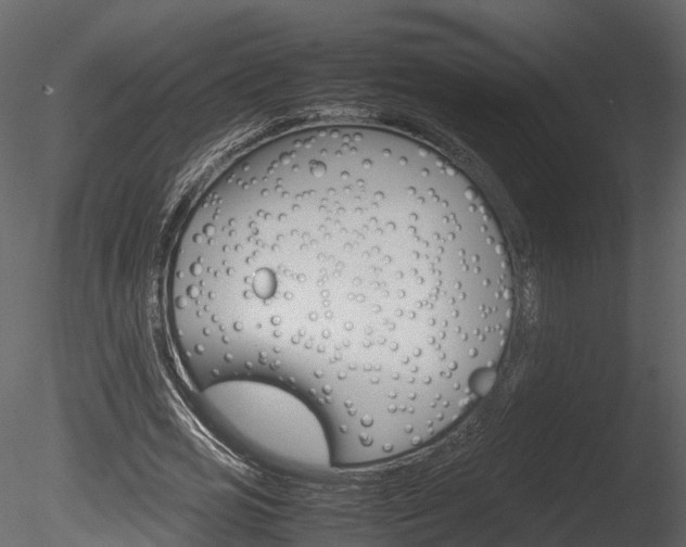 X0000085730725200703160836