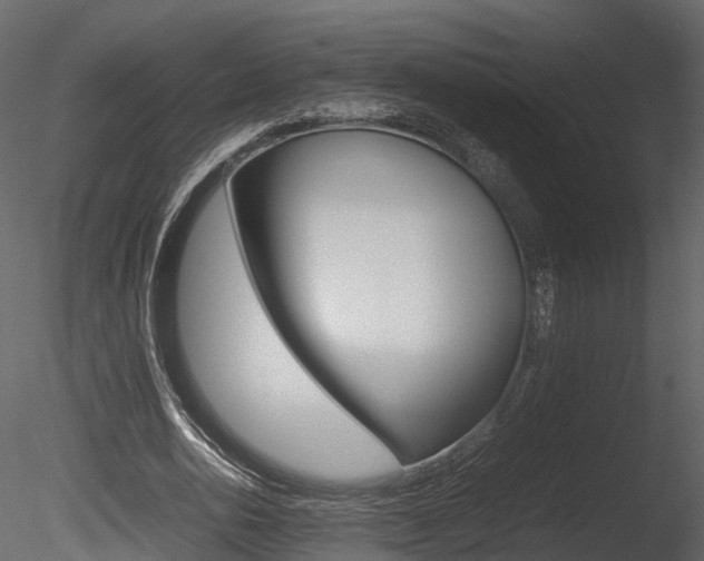 X0000085730726200703160836