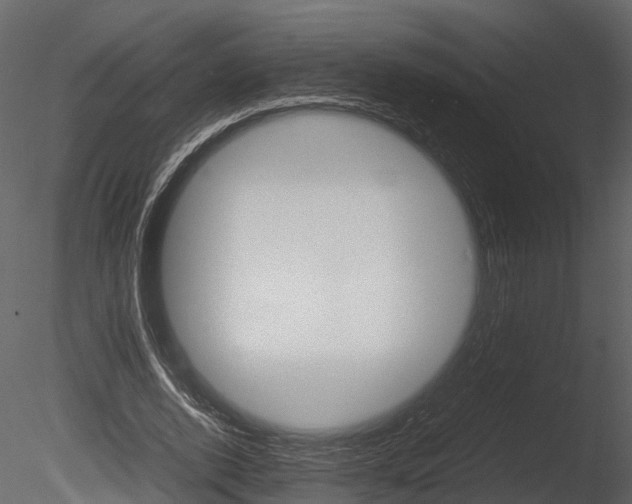 X0000085730728200703160836