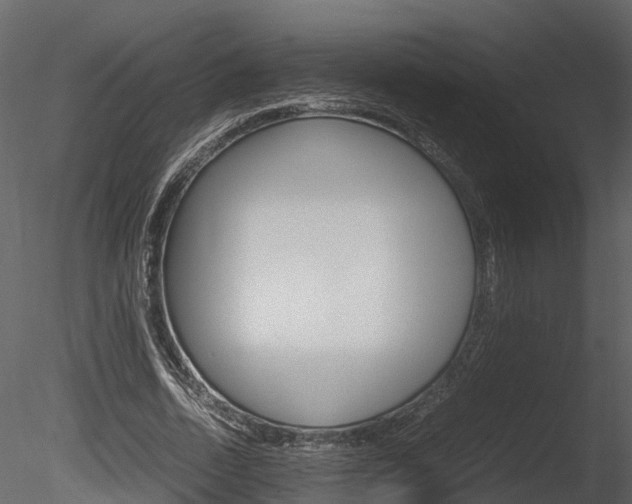 X0000085730730200703160836