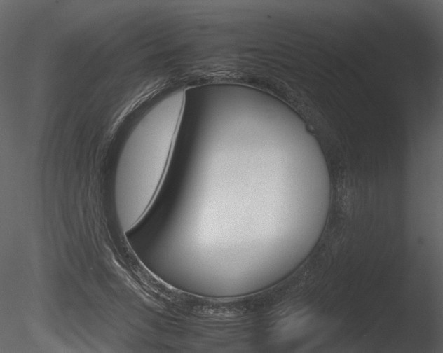 X0000085730735200703160836