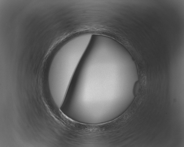 X0000085730736200703160836